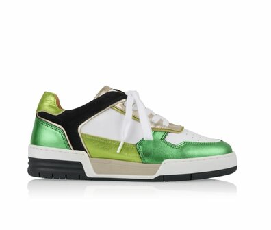 RUGBY metallic - Sneakers White / Green