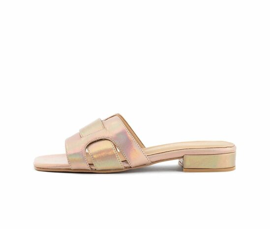 Slipper Nude Gold